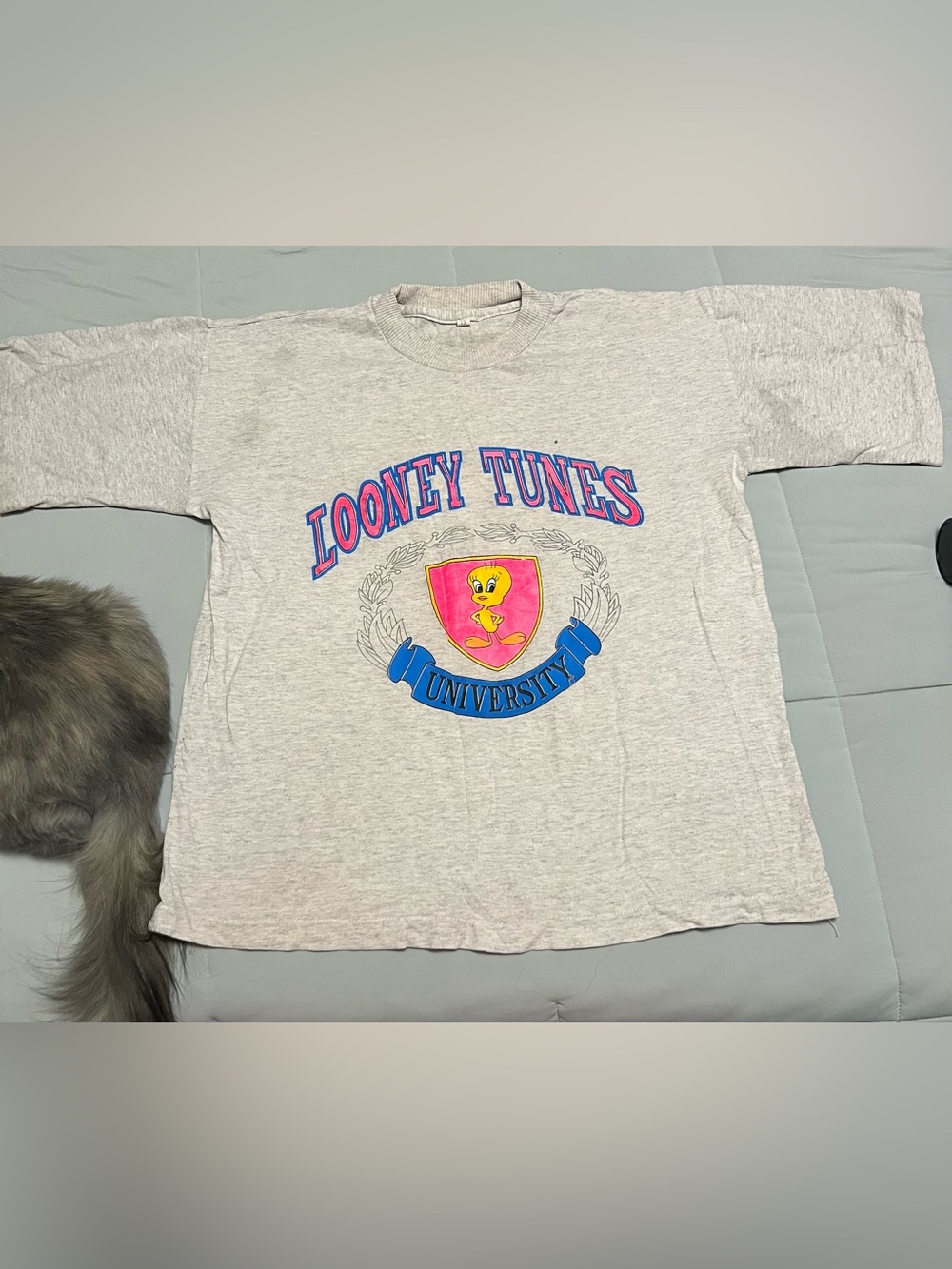 Vintage 90s Looney Tunes University Tweety Bird Graphic T-Shirt Gray XL Distress